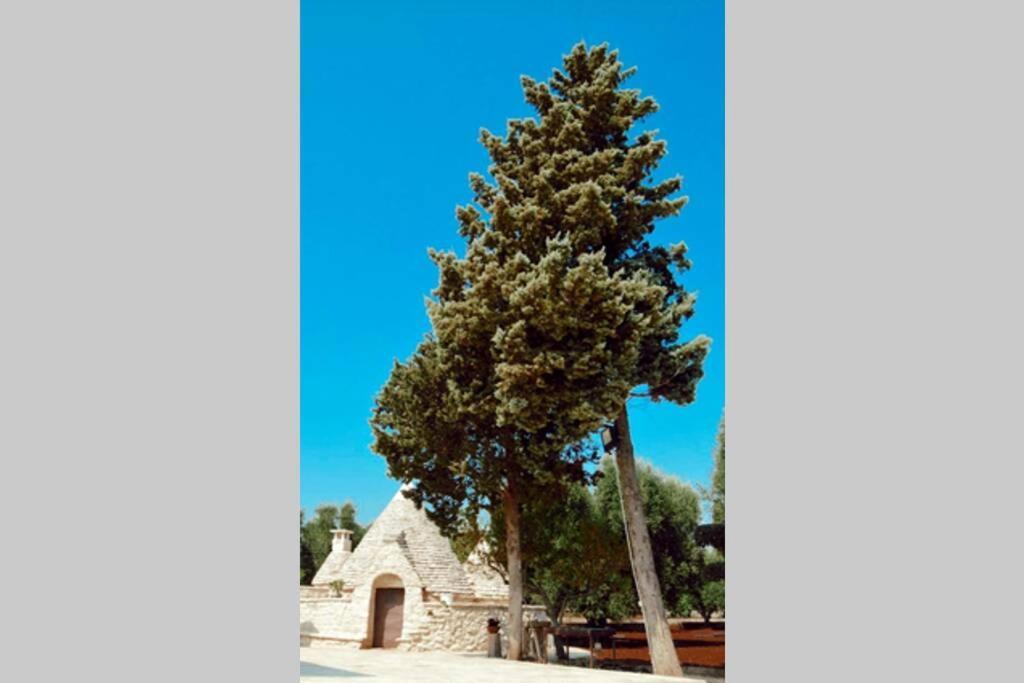 Trulli Monteforte Villa Castelli Ngoại thất bức ảnh